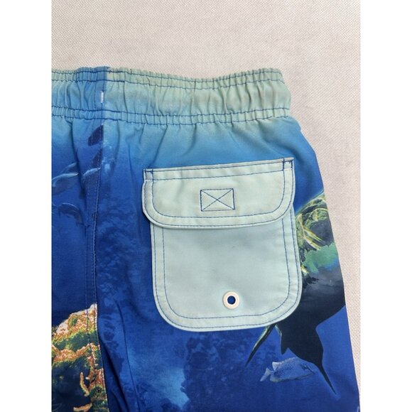 Wonder Nation Boys Shark Swim Trunks Size 6-7 Read - Picture 8 of 8